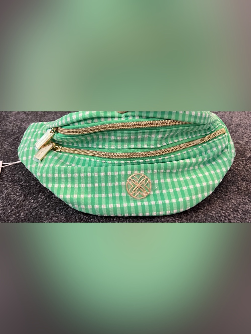 Lilly Pulitzer Fauna Green Gingham Performance Glenna Belt Bag NWT NIP - Picture 2 of 7